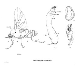 图片28.png